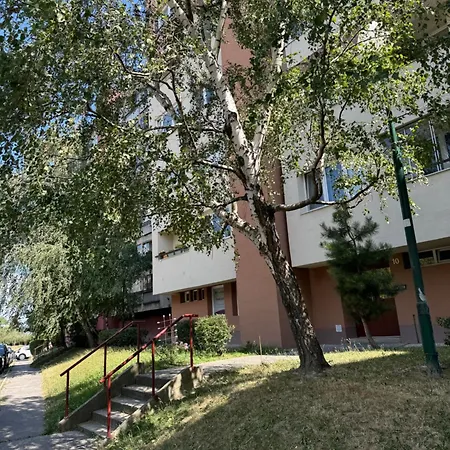 Apartament Cute Raca