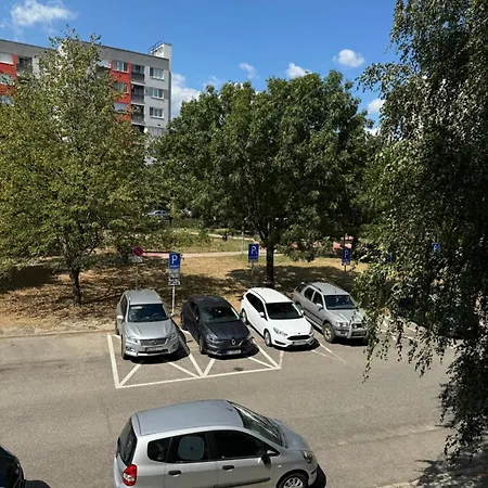 Cute Apartament Raca