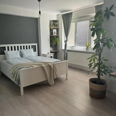 Cute Apartament Raca